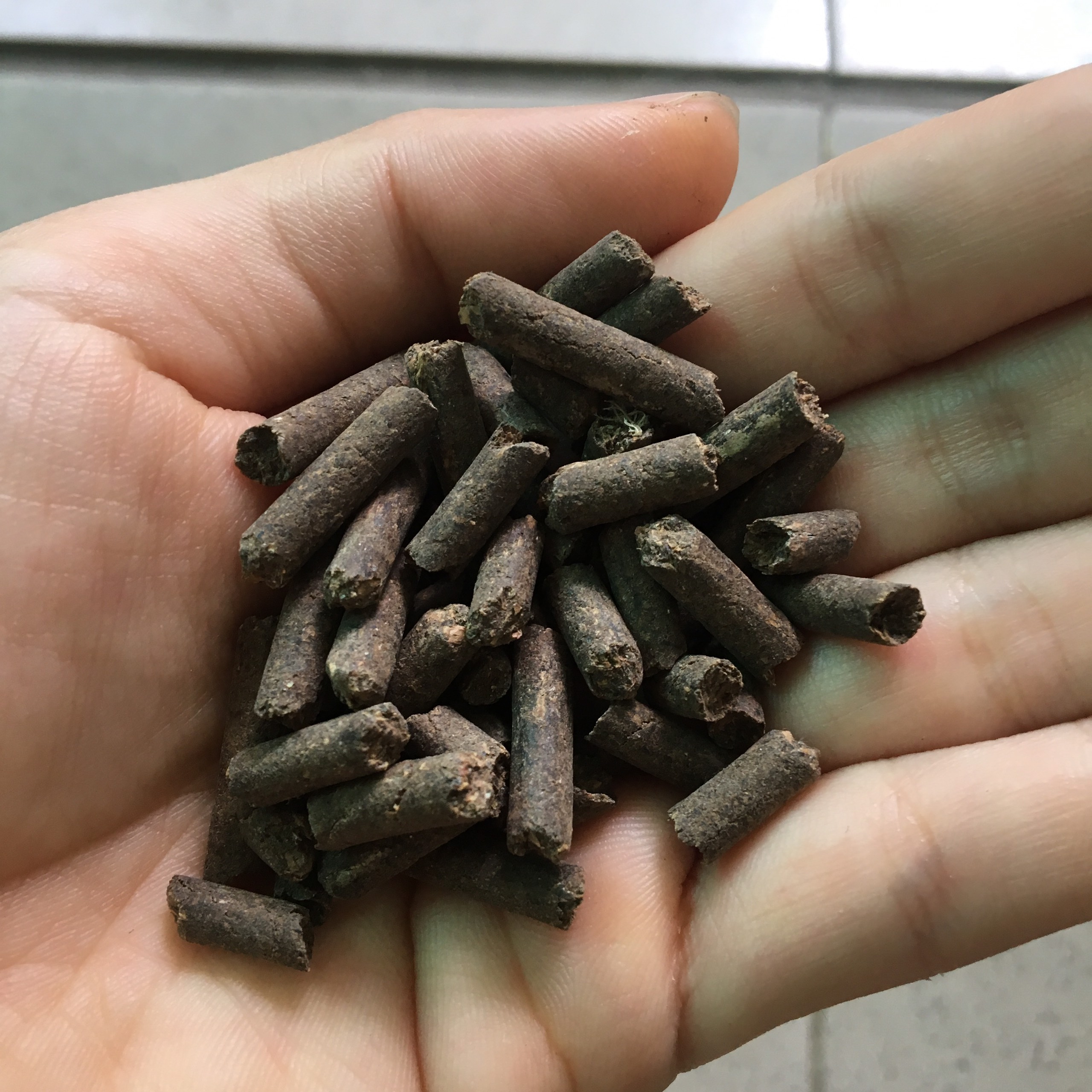 PHÂN BÓN HỮU CƠ BÓN CHO CÂY CHANH TÚI 1KG