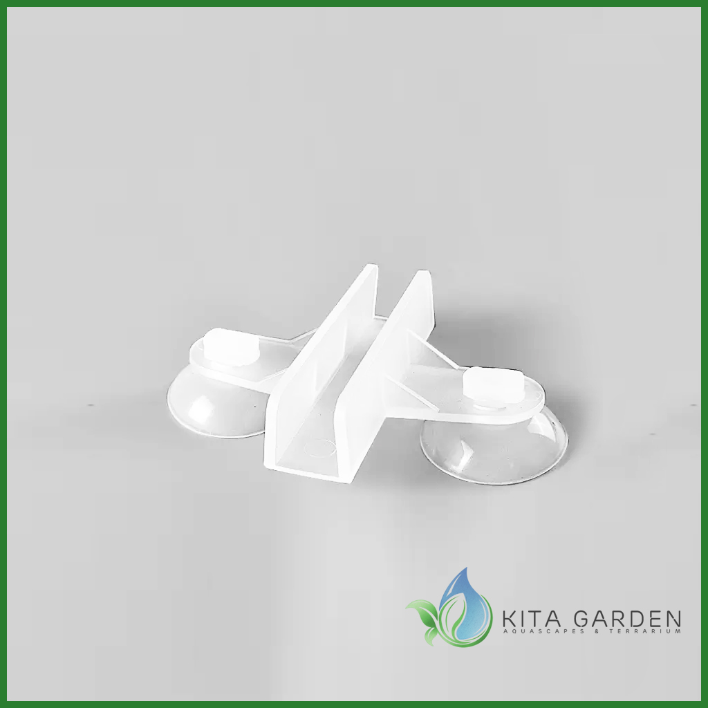 Hít giữ tấm vách nhựa ngăn hồ cá