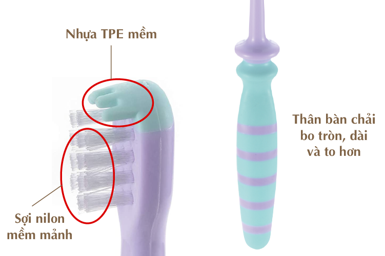 Bàn Chải Bước 5 T.L.I  (2 bàn chải + 1 khiên)_ BabyUS Store