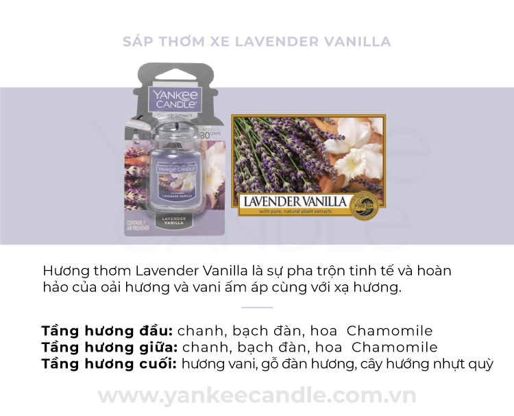 Sáp thơm xe Yankee Candle - Lavender Vanilla