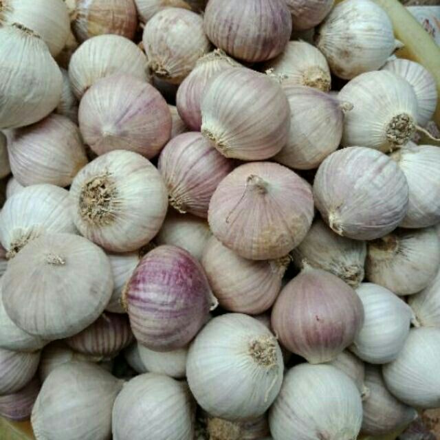 2 kg tỏi cô đơn