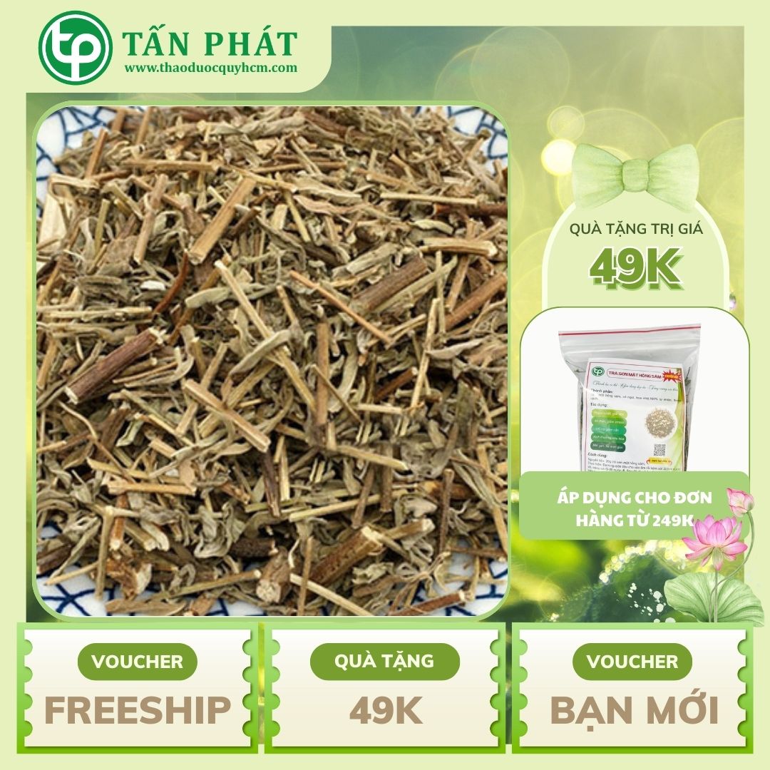 Hương nhu khô 1kg - Túi lớn hàng sạch, xanh chất lượng cao - Hỗ trợ thanh nhiệt và giải độc - Thảo Dược Tấn Phát