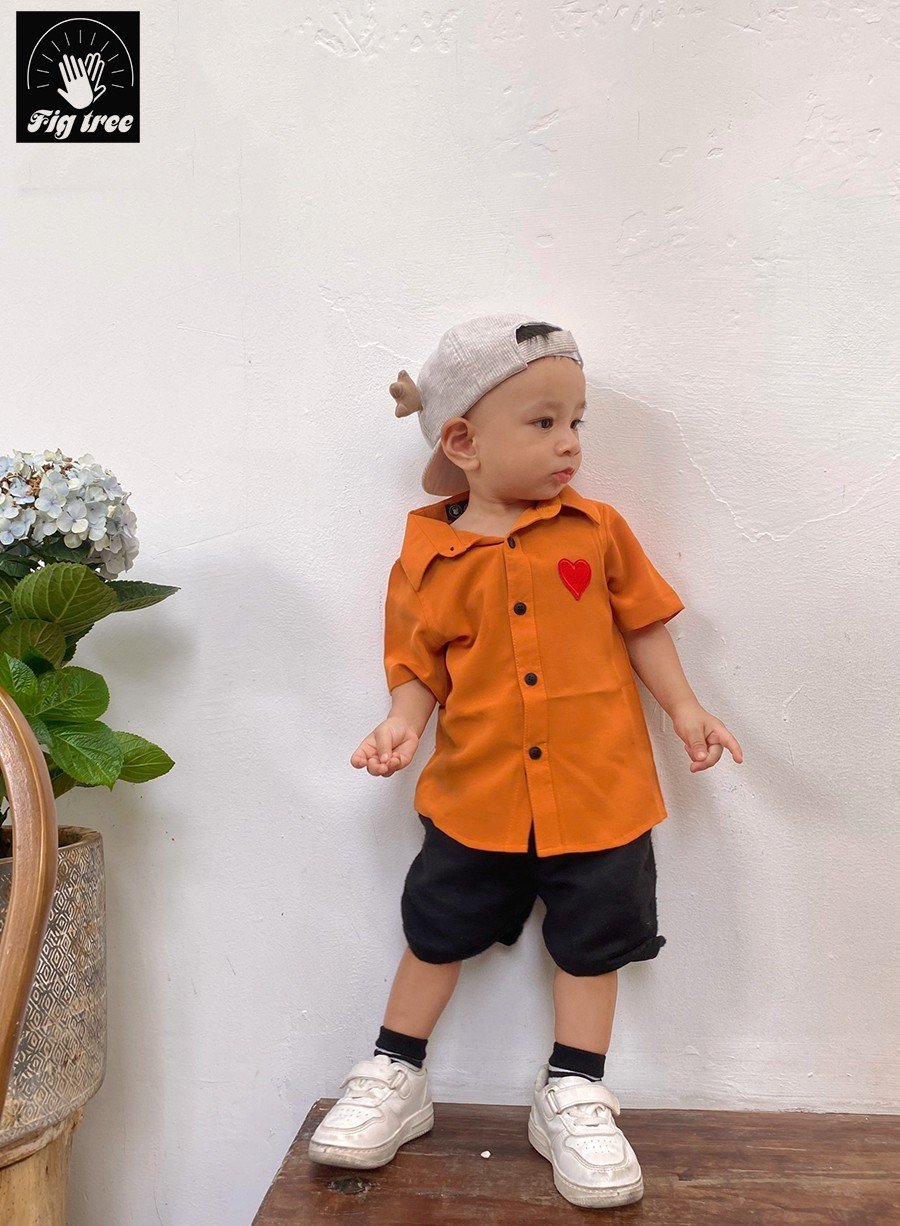 𝐌𝐚̂̃𝐮 𝐚́𝐨 𝐠𝐢𝐚 đ𝐢̀𝐧𝐡 MÀU CAM FIG TREE cho mùa du lịch 𝐋𝐞̂̃ - 𝐓𝐢𝐞̣̂𝐜 - 𝐂𝐡𝐨̛𝐢 𝐓𝐞̂́𝐭 𝟐𝟎𝟐𝟒