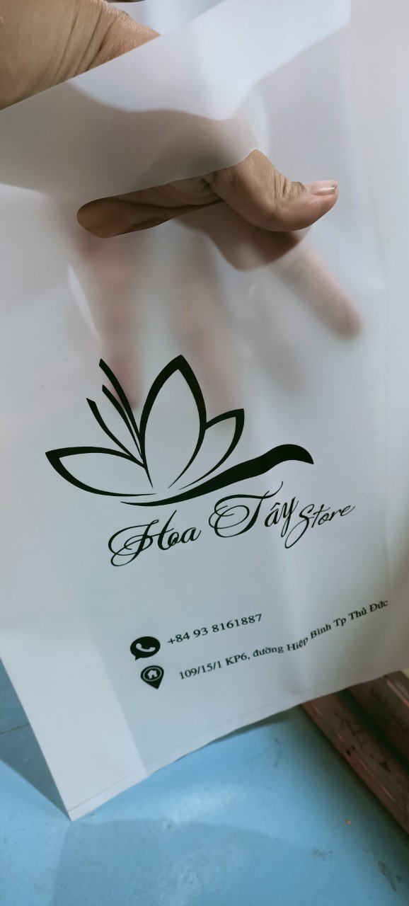 1kg Túi Hột Xoài HD mờ