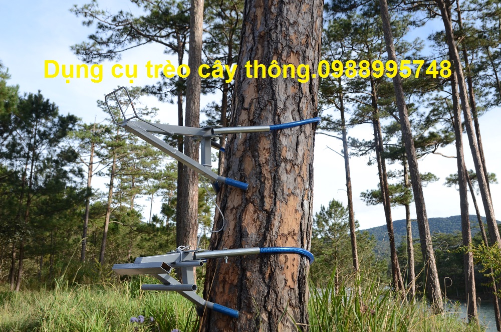 DỤNG CỤ LEO CÂY THÔNG, LEO CAU VUA