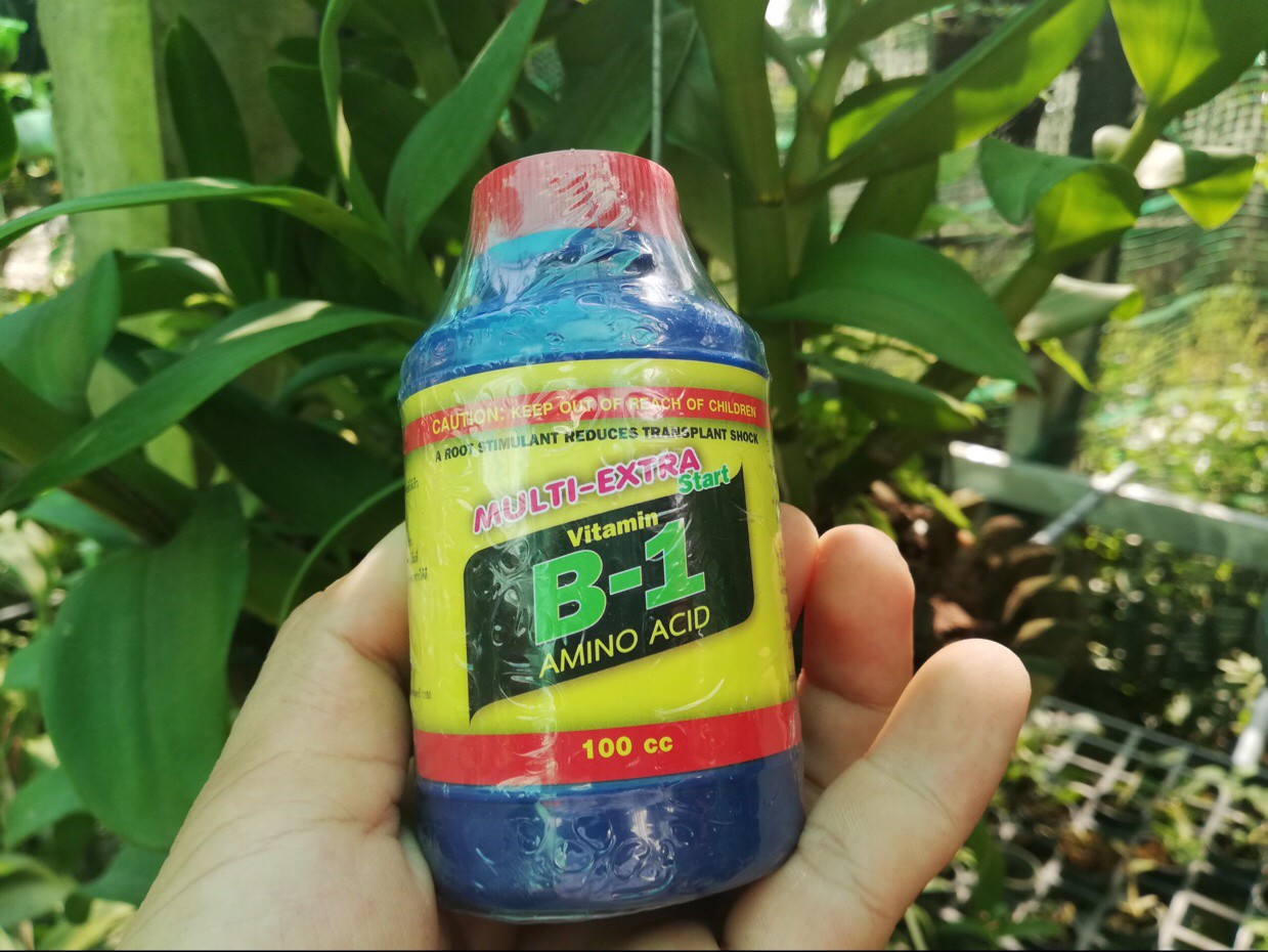 PHÂN BÓN LÁ CAO CẤP VITAMIN B1 NHẬP KHẨU THÁI LAN - Chai 100ml
