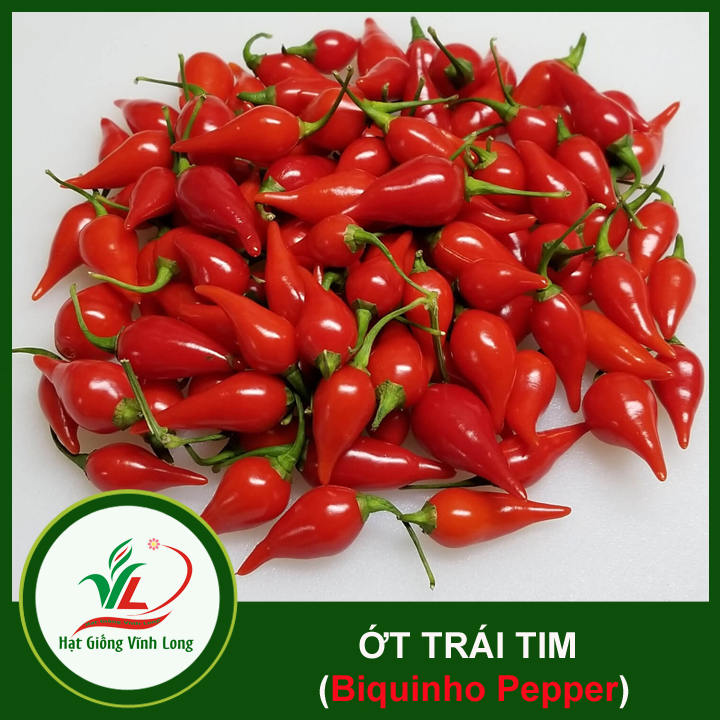 Hạt giống Ớt trái tim (hạt tự thu) - 15 hạt