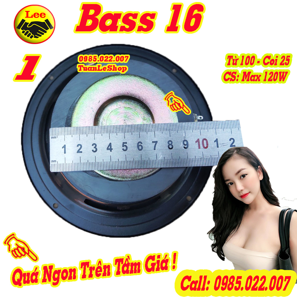 BASS 16 từ 100 - GIÁ 1 CHIẾC LOA