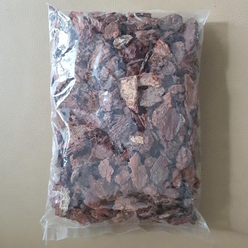 [HCM]Vỏ Thông Trồng Lan