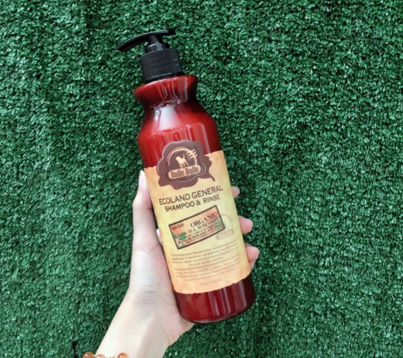 Sữa Tắm Và Xả Budle'Budle Ecoland General Shampoo & Rinse (500ml)