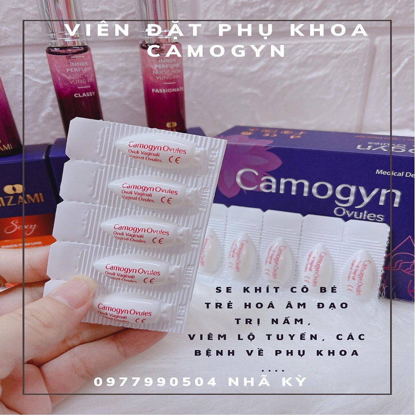 Viên đặt phụ khoa Camogyn hộp 10 viên