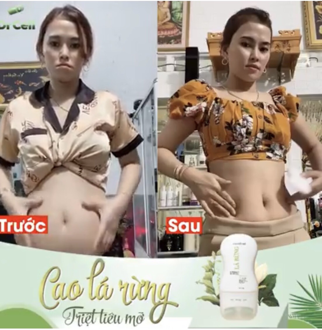 Cao Đốt Mỡ Lá Rừng Dr Cell
