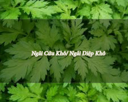 Ngải cứu sây khô 500g GT313