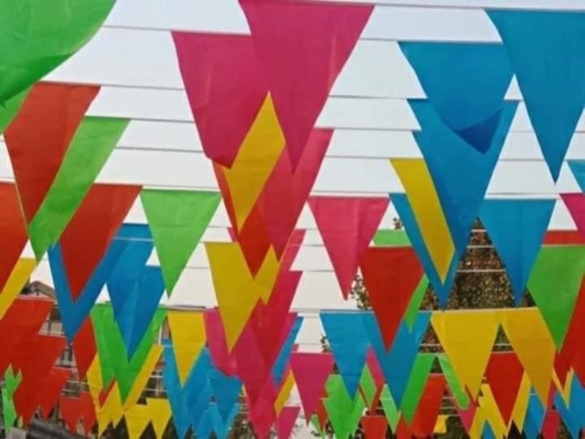 Cờ dây, cờ đuôi nheo