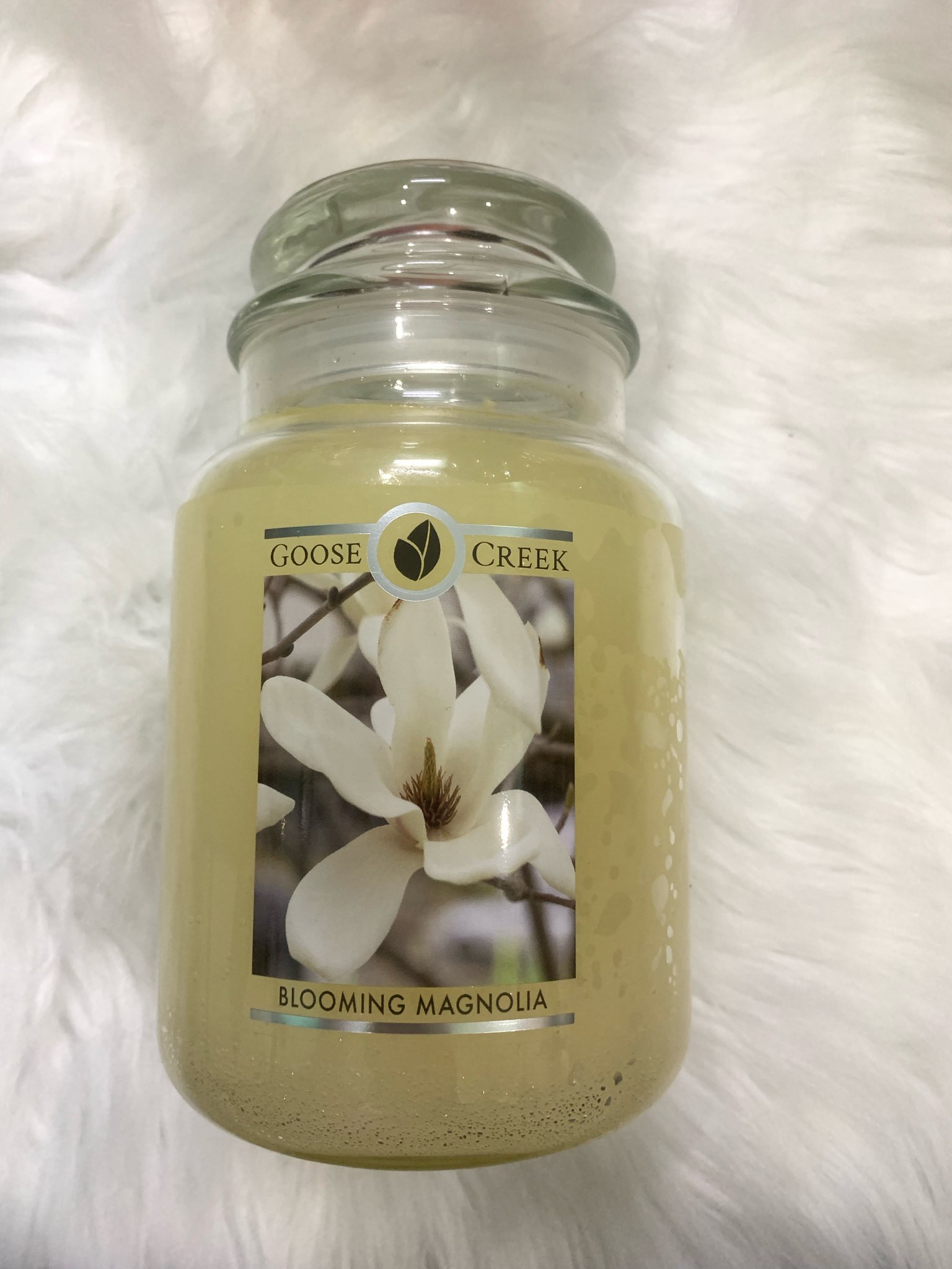Nến thơm GOOSE CREEK nhập khẩu Mỹ [Nhiều mùi] [Hàng có sẵn]