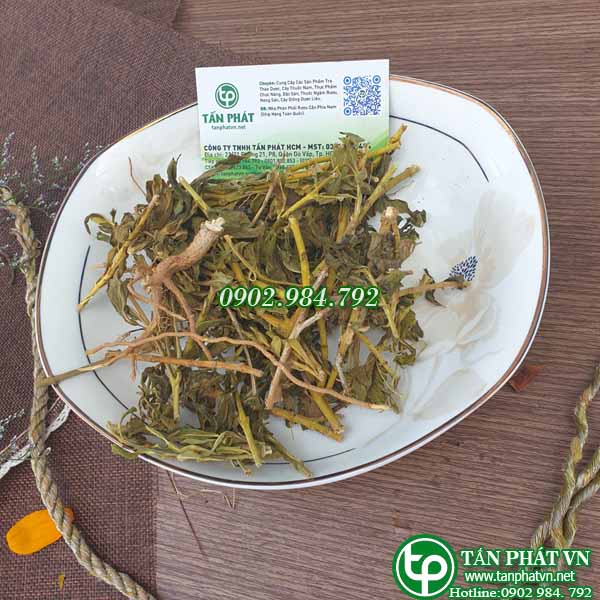 Cây dừa cạn sấy khô 1kg - Thảo Dược Tấn Phát