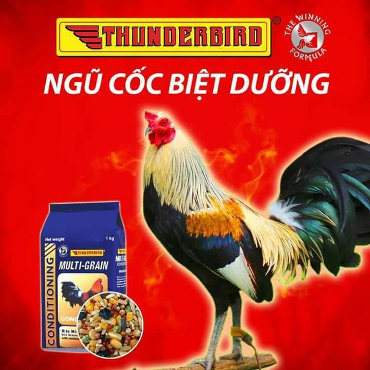 [HCM]Ngũ cốc Multi Grain dành cho gà đá (1kg) - Pet Food Store.