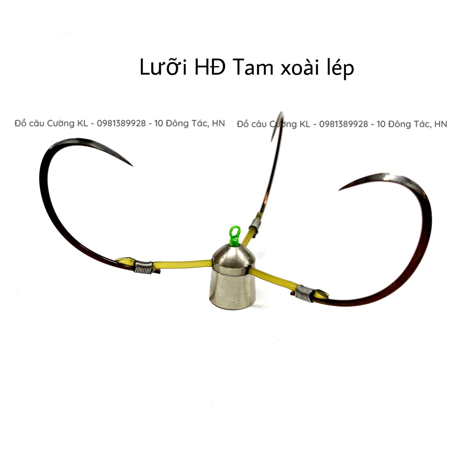 Lưỡi câu cá tam, tứ HĐ xoài lép