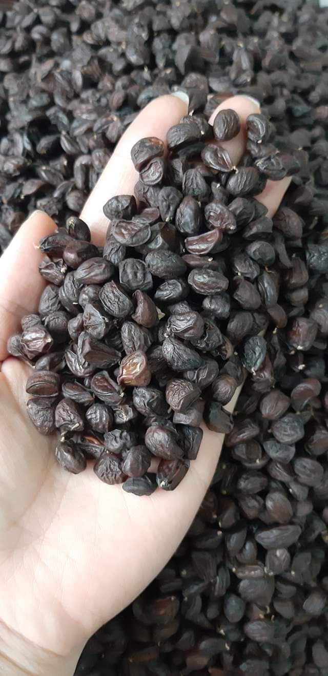 100G HẠT DỔI TÂY BẮC