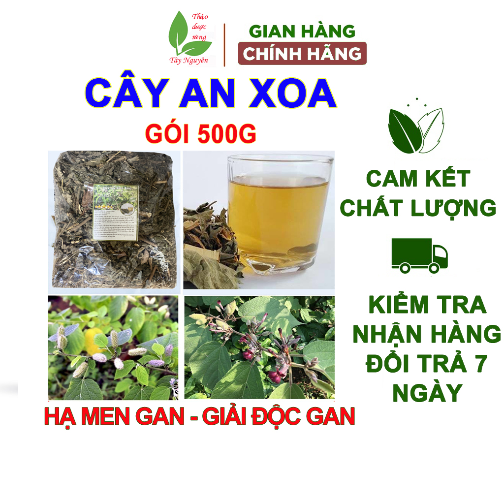 Cây an xoa khô, gói 500g trà an xoa, cho người gan nhiễm mỡ, men gan cao, mỡ máu, hạ men gan, rất thơm và uống ngon