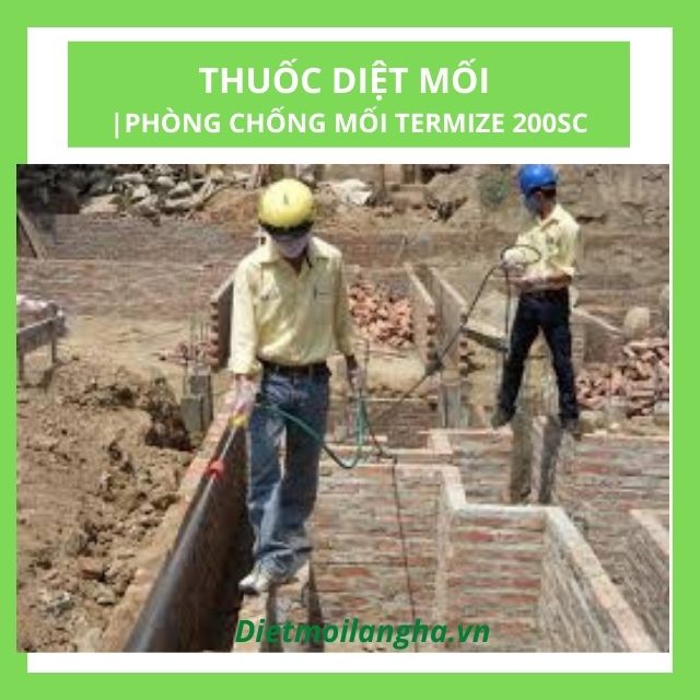 [Chính Hãng] Thuốc Diệt Mối | Phòng Chống Mối Nền Móng TERMIZE 200SC Chai 50ml