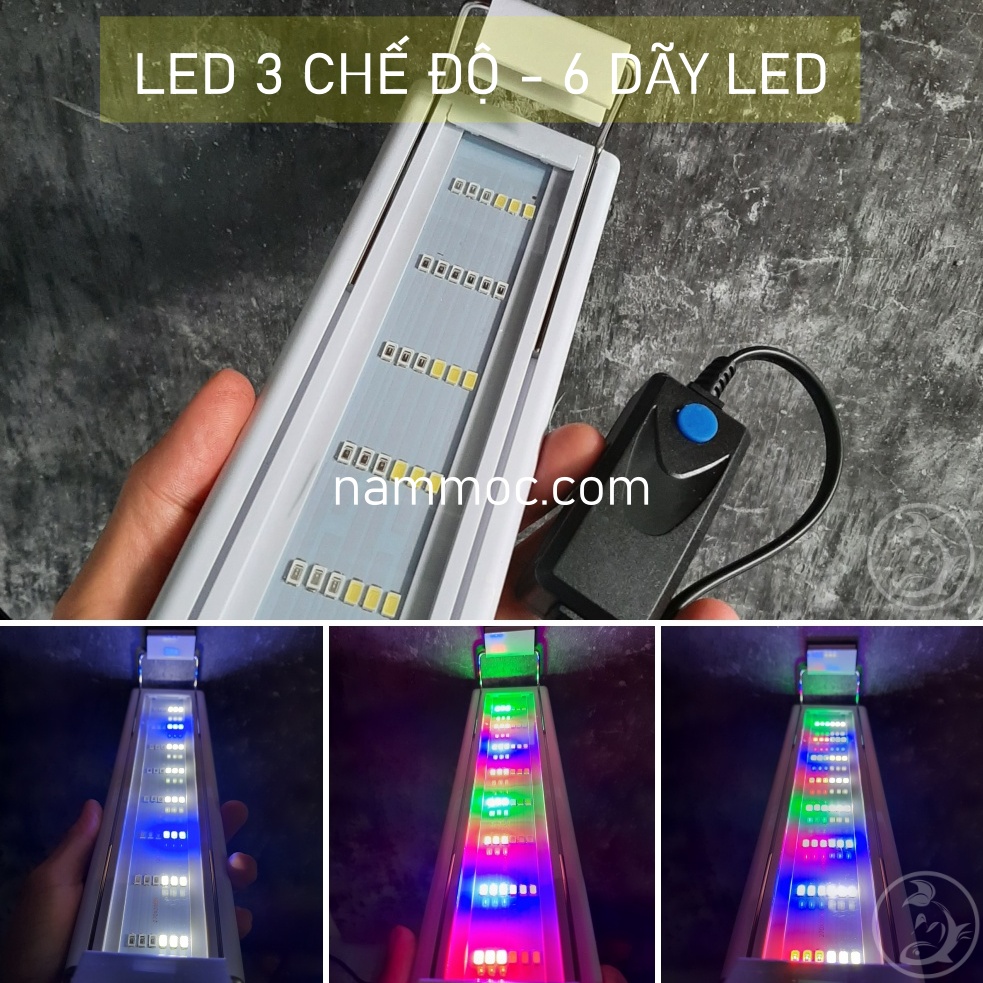 Đèn LED Thuỷ Sinh 3 Chế Độ Màu - 6 Hàng LED Siêu Sáng | Đèn LED Chuyên Dụng Dàng Cho Bể Thuỷ Sinh