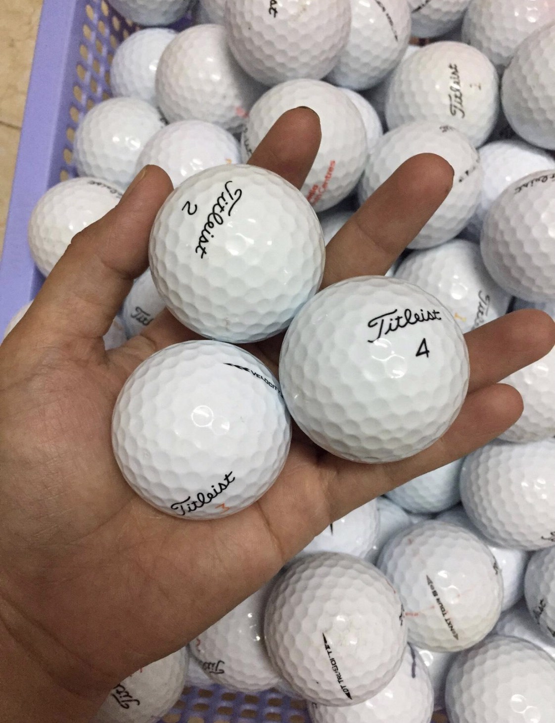 Combo 10 Bóng Golf màu trắng - LOGO PGM ( loại mới và đã s.ử d.ụng)
