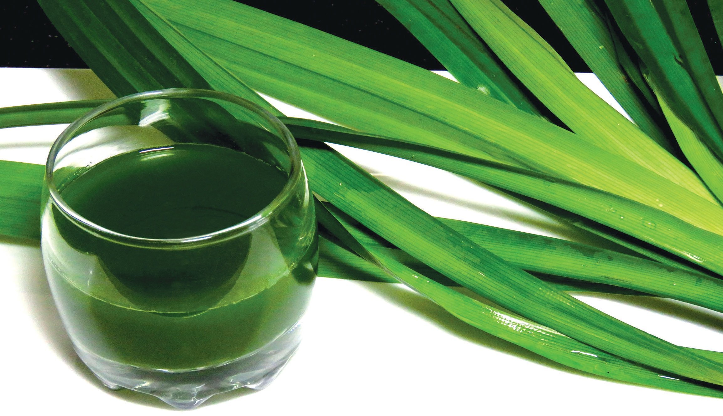 Lá dứa sấy khô - túi 100g