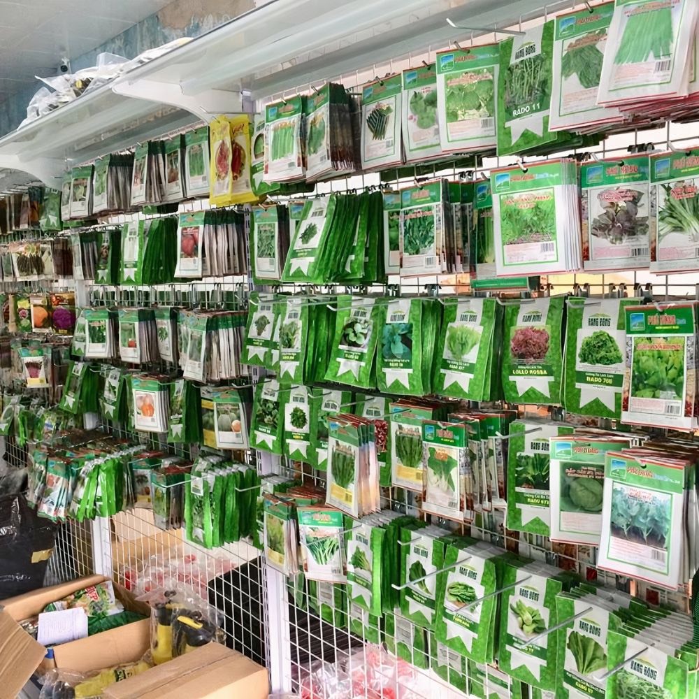 Hạt giống rau cải ngọt cao sản, giống F1, gói bao bì 10g và gói túi zip 200 hạt,  Rau củ quả trồng sân thượng, ban công.