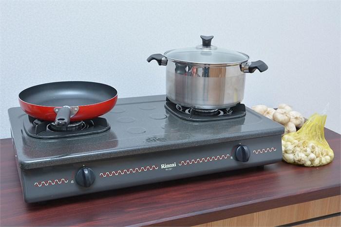 Bếp gas đôi Rinnai RV-287(S)N (Đen)