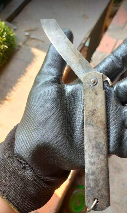 Dụng cụ đi rừng hàng Nhật bãi