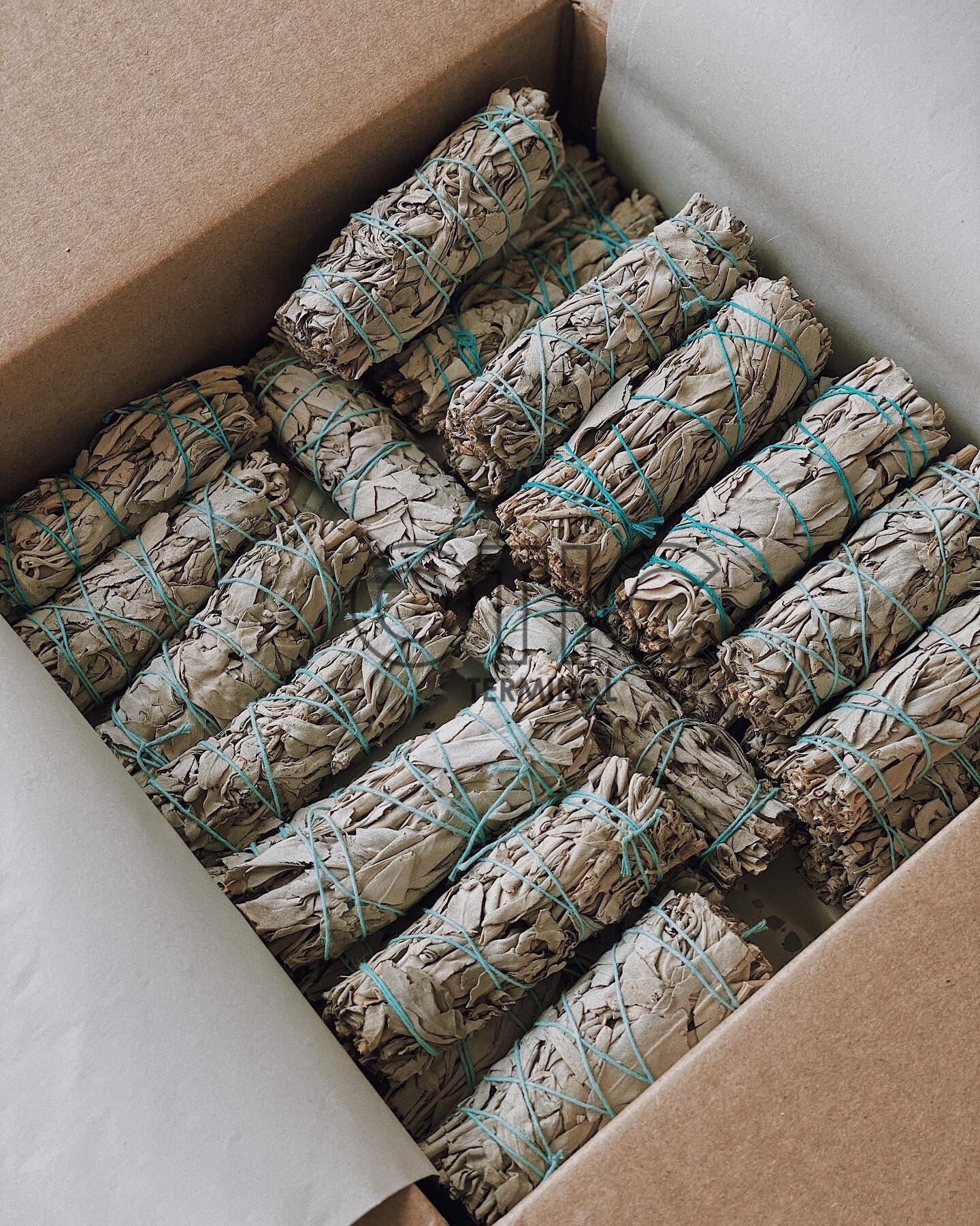 [HCM]Bó Xô Thơm Trắng (White Sage)