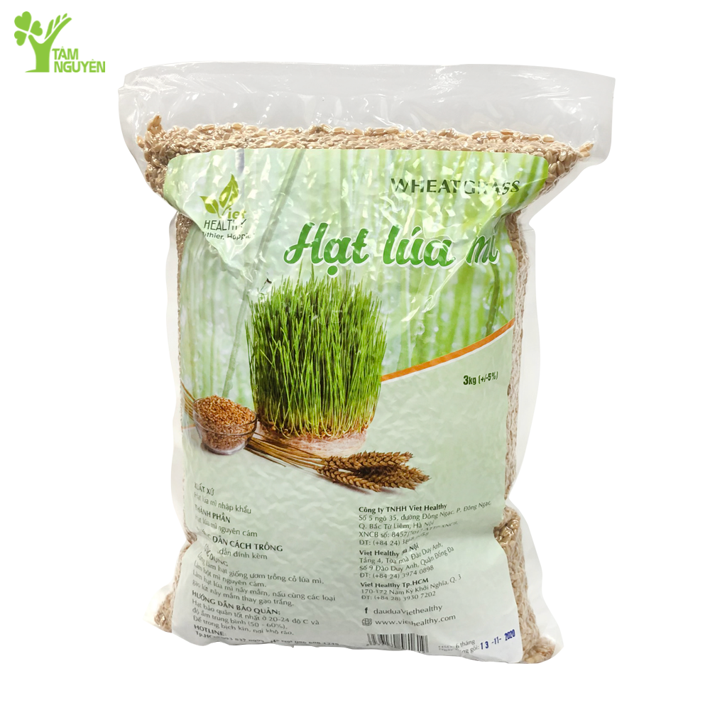 Hạt giống cỏ lúa mì Viethealthy 3kg