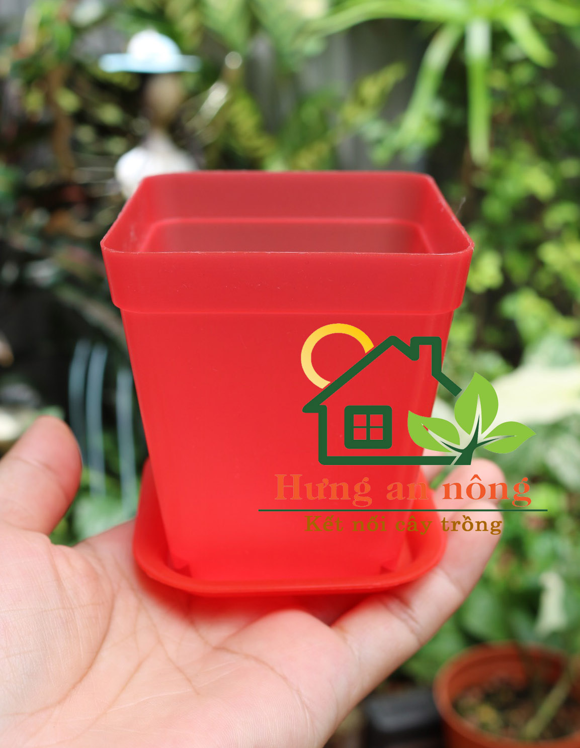 CDL1 - Sét 10 chậu + dĩa lót trồng sen đá xương rồng bonsai cây để bàn nhựa PP size chậu 7x7x8cm