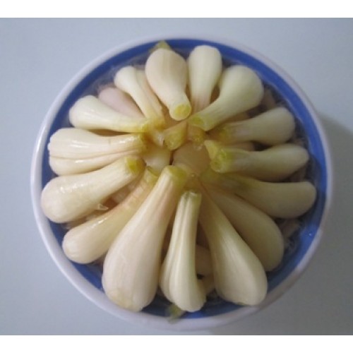 [HCM]củ kiệu ngâm giấm chua ngọt 500gram hủ