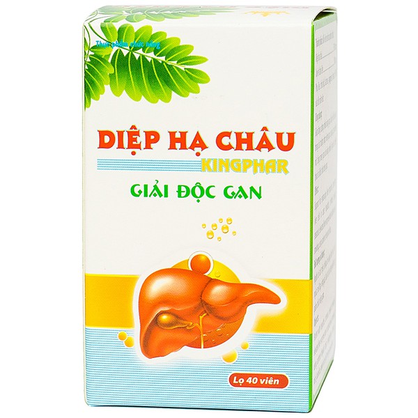 [HÀNG CHÍNH HÃNG] Diệp hạ châu Kingphar - Tăng cường chức năng gan , bảo vệ gan, giảm xơ gan ,vim gan, gan nhiễm mỡ, tăng men gan - Hộp 40 viên