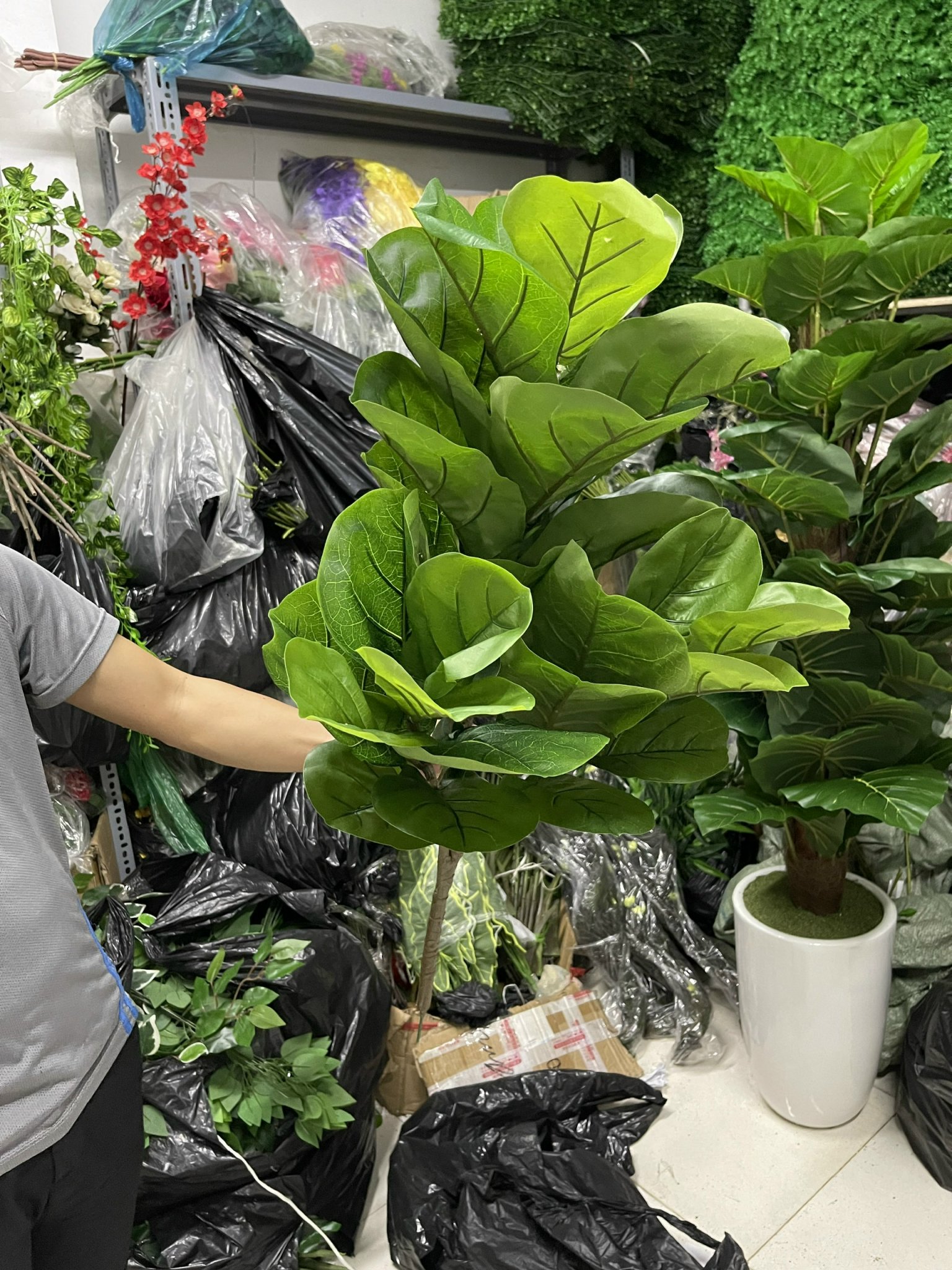 Cây giả - Cây bàng Singapore giả 1m (3nhánh)