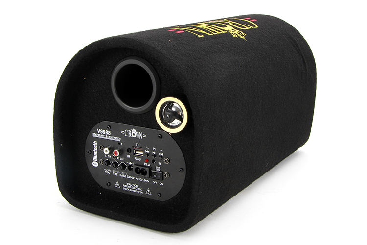 Loa Crown 10 có Bluetooth