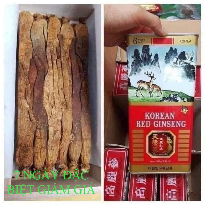 Hồng sâm hàn quốc 6 năm tuổi có tác dụng cho bé, trẻ em