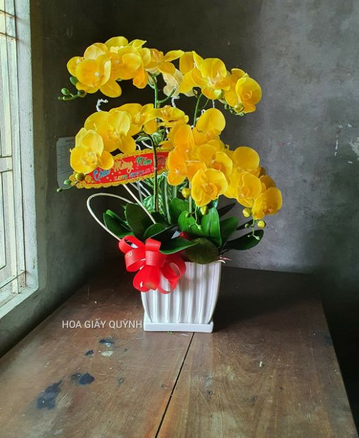 LÁ LAN HỒ ĐIỆP