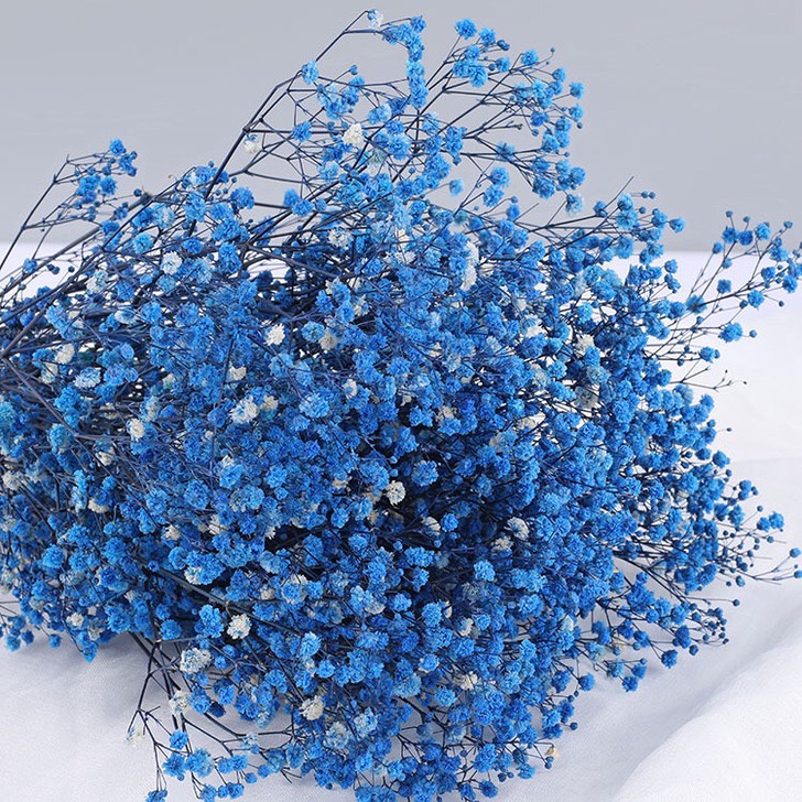 Hoa baby khô bó to 60gr -120gr, Gypsophila hoa khô decor trang trí nhà cửa, hoa baby khô bó 120 gram, hoa baby nhiều màu