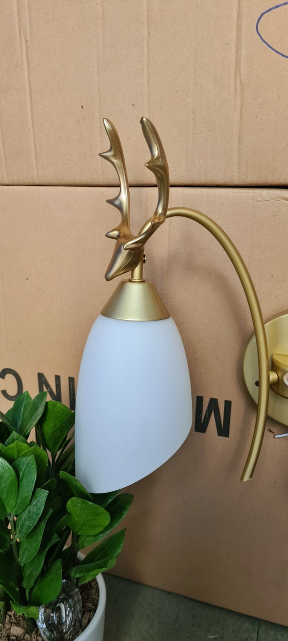 Wall lamp interior, exterior decoration home code 1757/1 [bundled balloon led]
