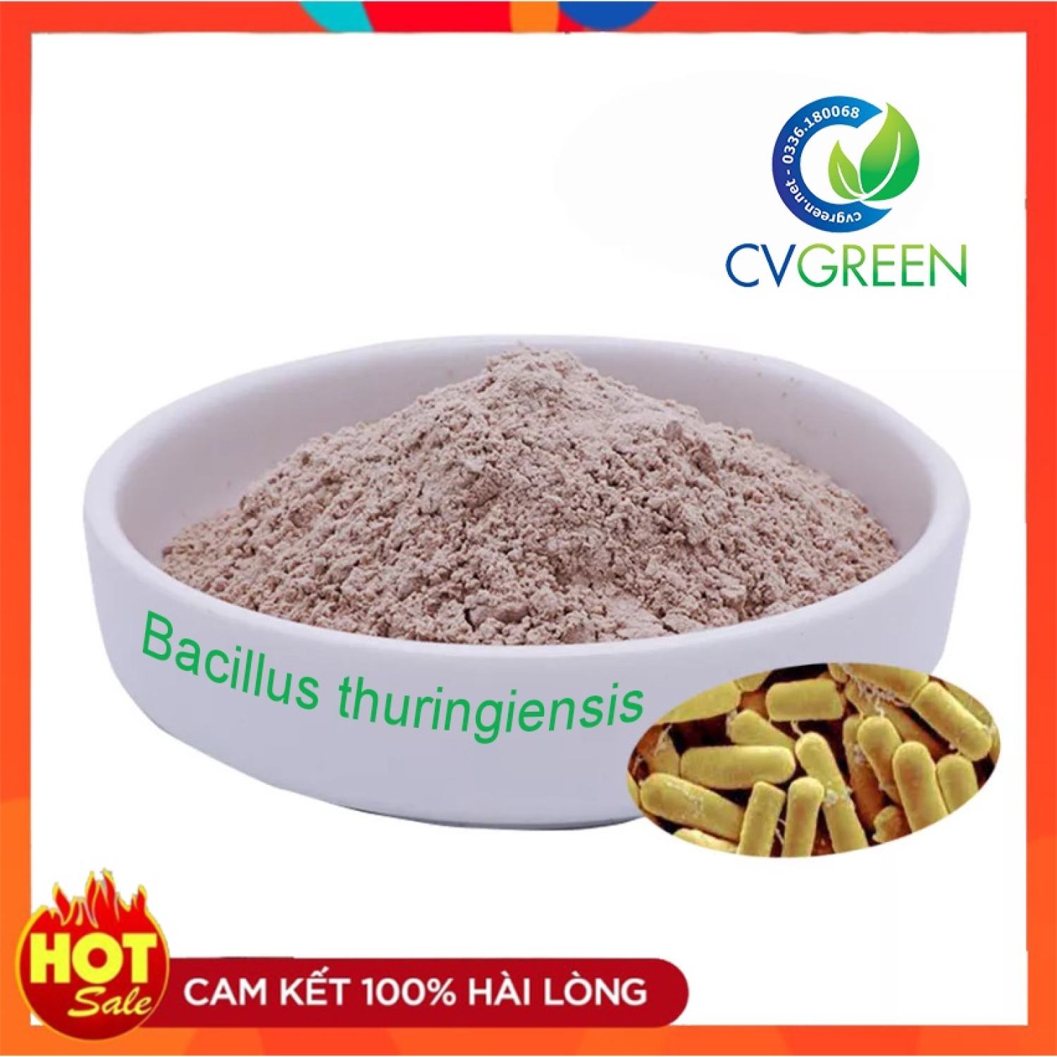 thuốᴄ trừsâu sinh học Bacillus thuringiensis (gói 1kg)