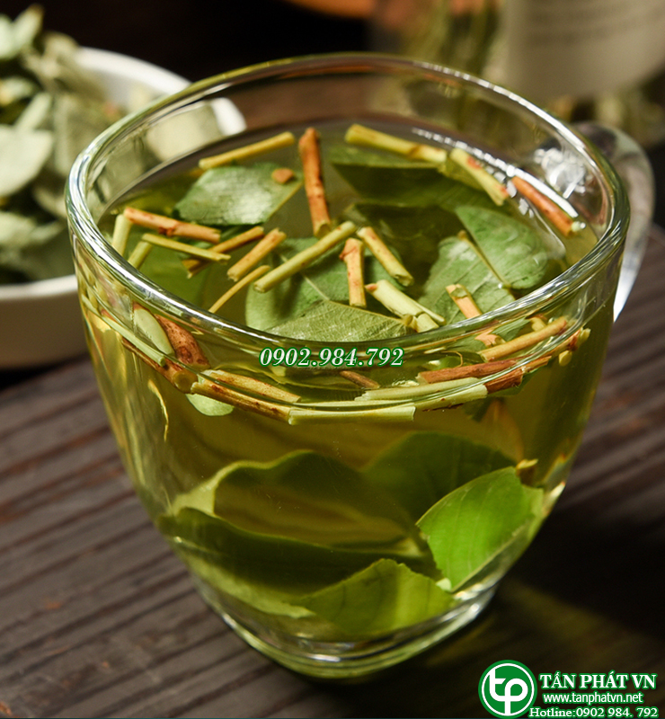 [Túi lớn loại 1kg] Kim tiền thảo dược Tấn Phát - chuyên dùng để pha trà thanh nhiệt và giải độc