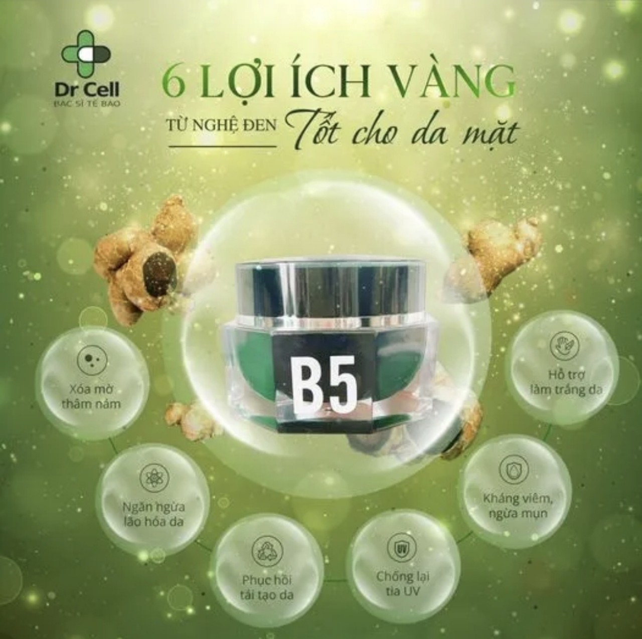 B5 ức chế nám Dr cell chính hãng