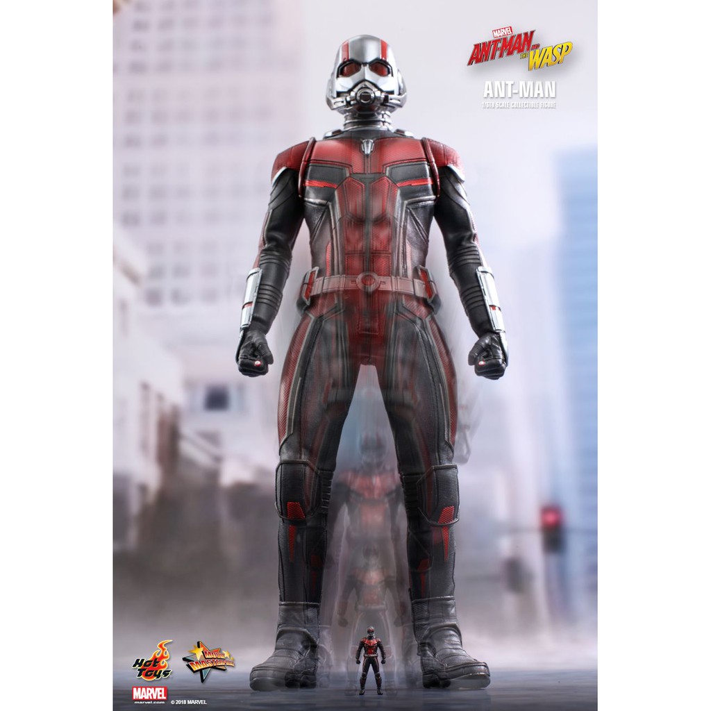 [HCM][Order báo giá] Mô hình chính hãng Hottoys MMS497: Antman (Antman and The Wasp)