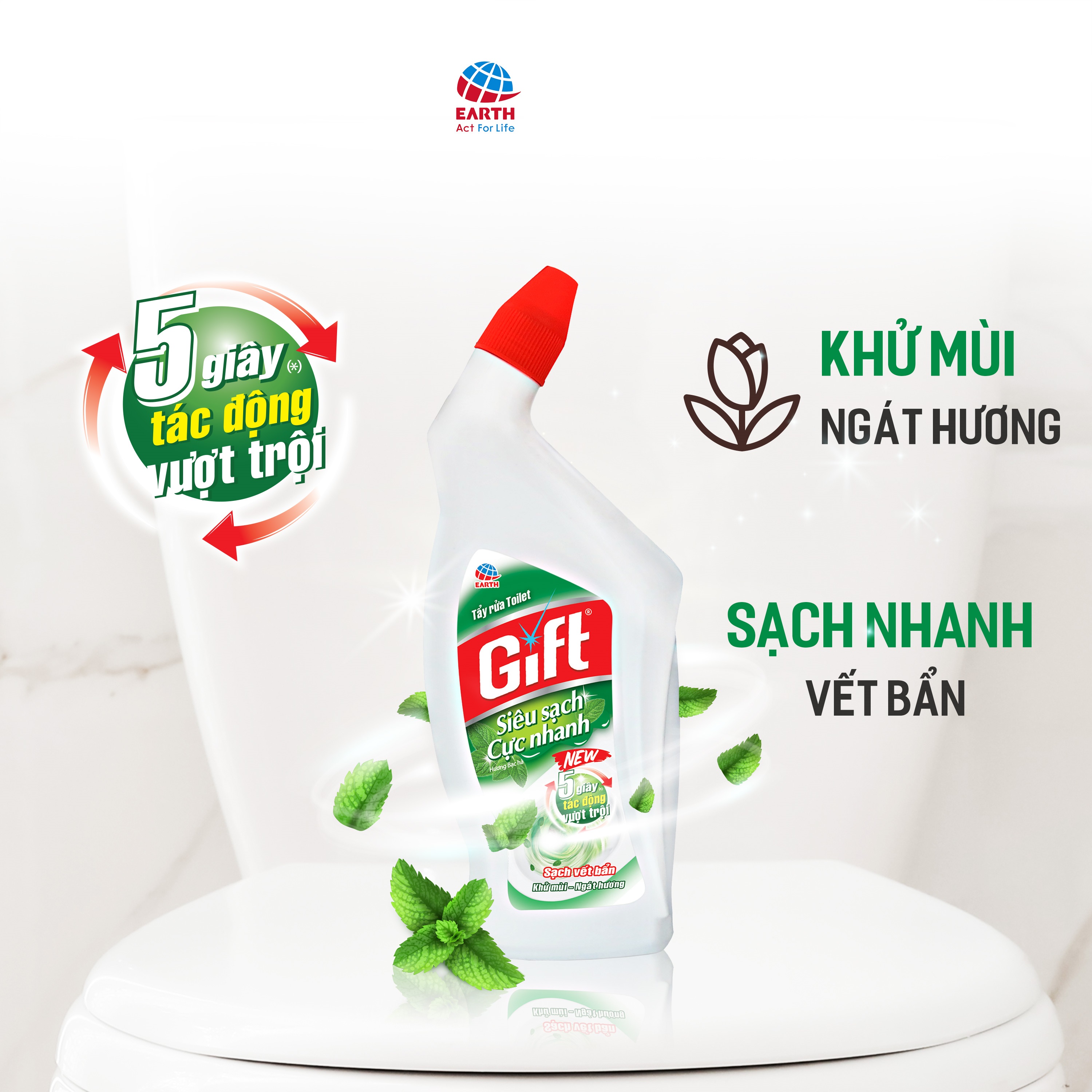 Tẩy rửa Toilet Gift