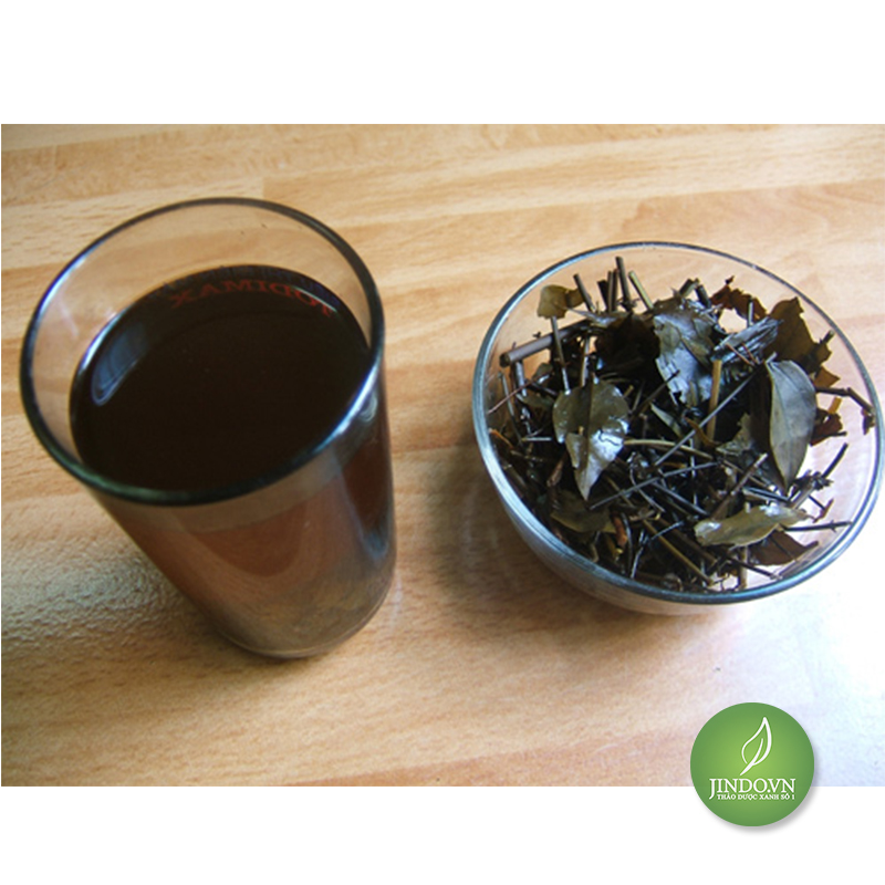 Đơn lá đỏ (1kg khô) - LV150