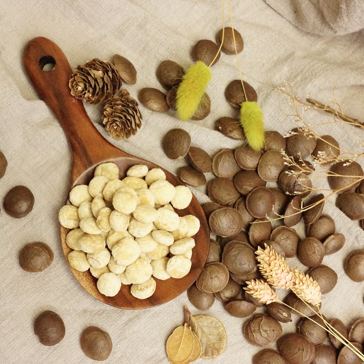 Nhân hạt Sachi đã rang chín ăn liền 500Gr
