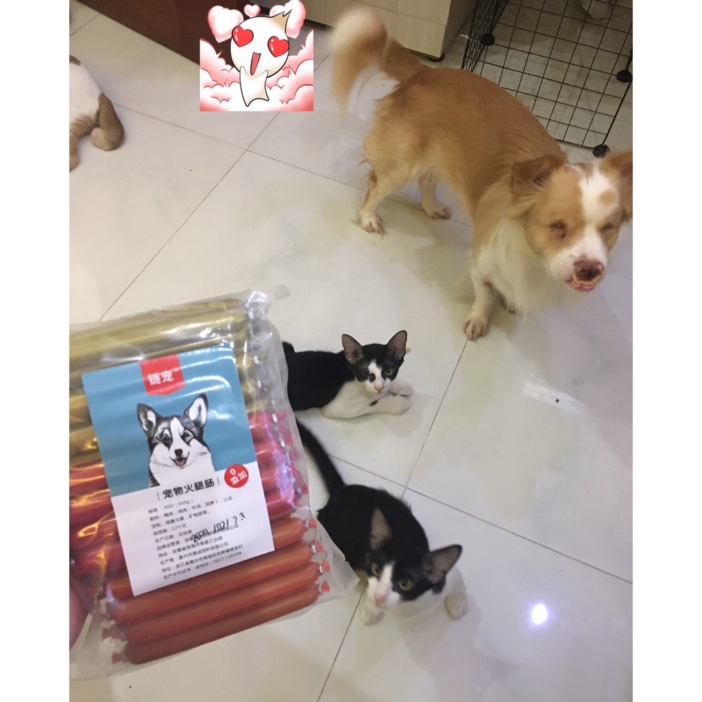 XÚC XÍCH CHO CHÓ, MÈO Combo 109K/60 CÂY/ 2bịch 🍄🌸